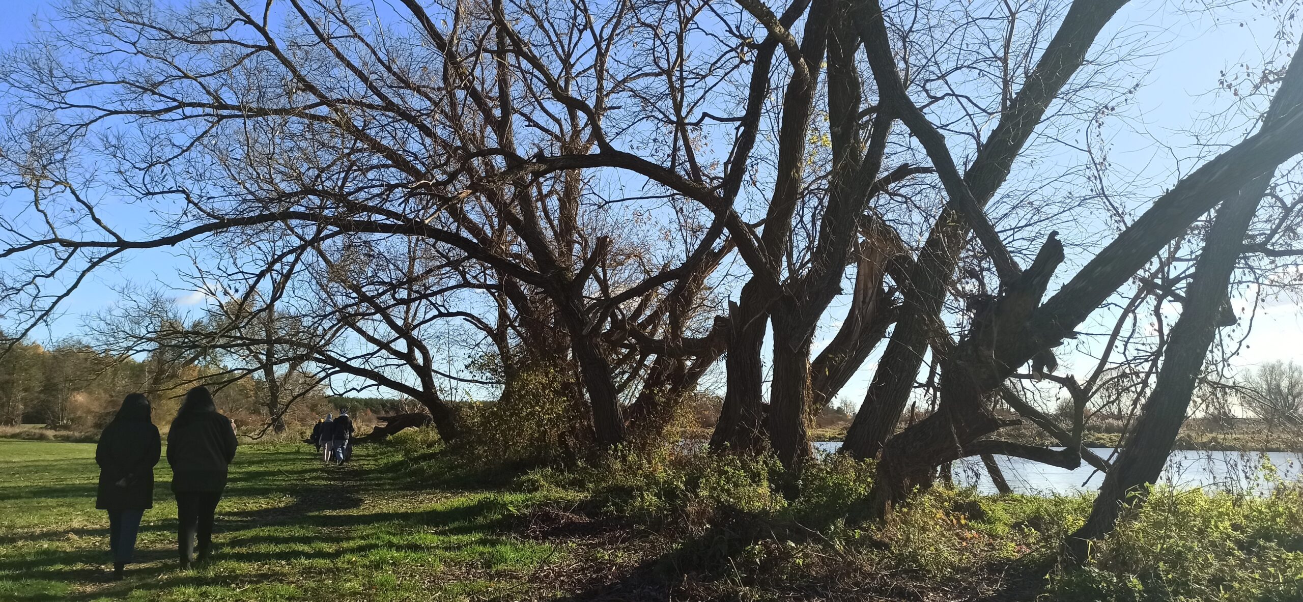 Uczestnicy wśród drzew nad rzeką